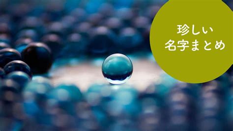 稀名字|珍しい名字（苗字）163選！都道府県ごとの特徴的な。